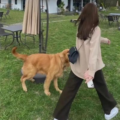 不在远方