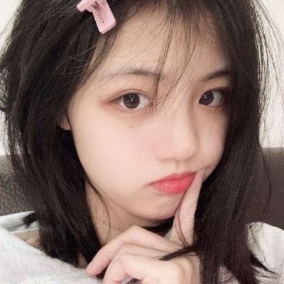 狐狸之声国语
